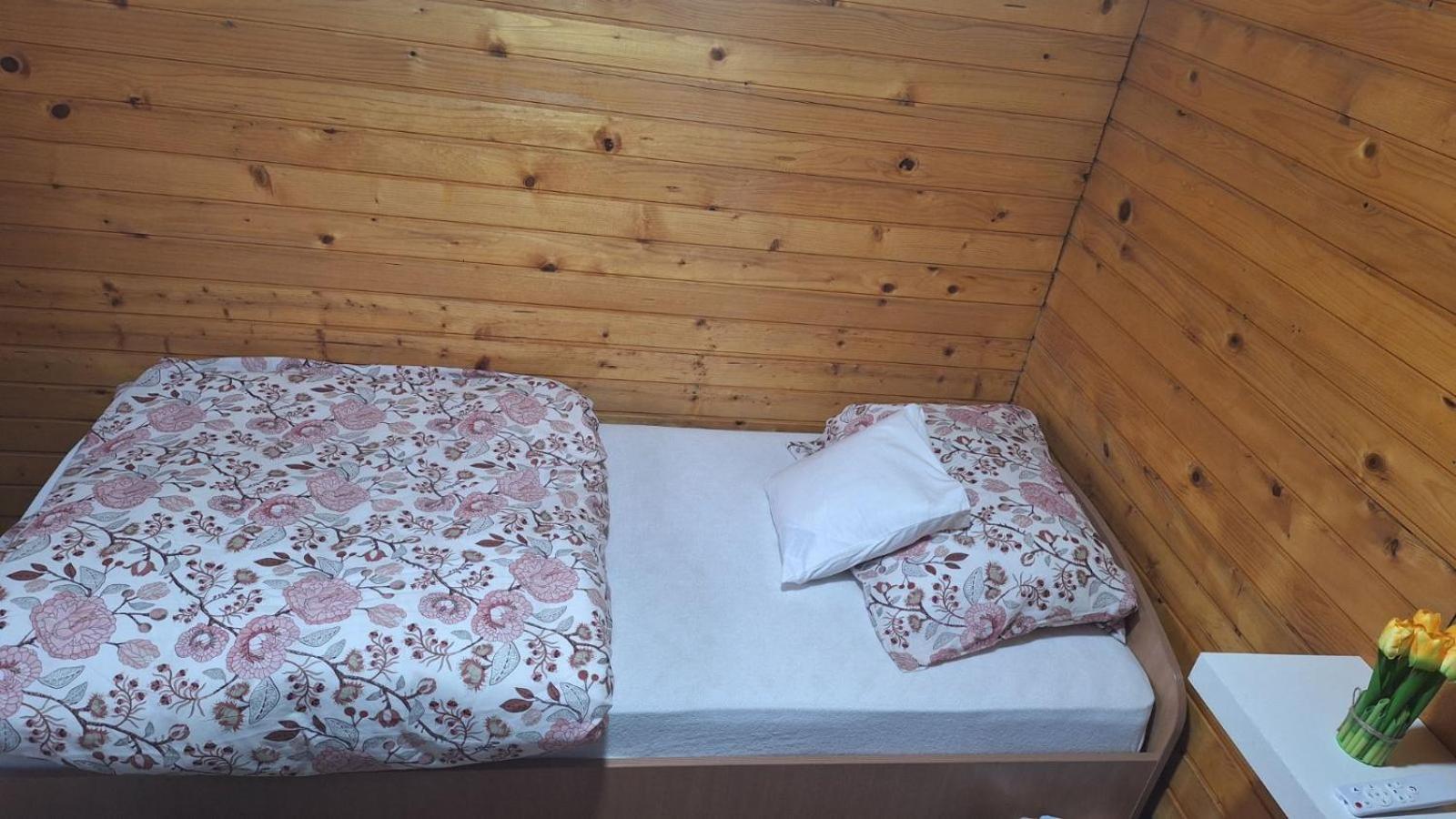Wooden House Ada Villa Belgrad Exterior foto